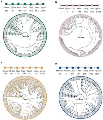 A glance at the gut microbiota and the functional roles of the microbes based on marmot fecal samples